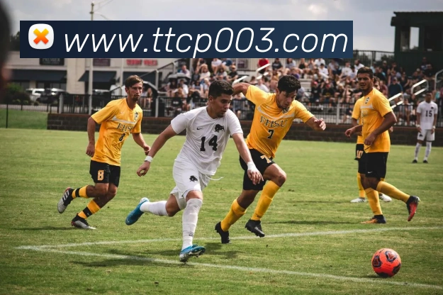 天天彩票官方网站全站App